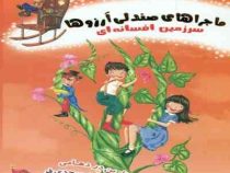 ماجراهای صندلی آرزوها 5: سرزمین افسانه ای (نارین در دهامی، سمیه موحدی فر)