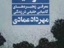 بی وقفه تا موفقیت (معرفی زنجیره های کامیابی حقیقی در زندگی)(مهرداد عمادی)