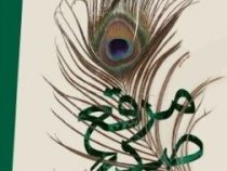 مرقع صد رنگ : 100 رباعی از بیدل (گزینش و شرح محمد کاظم کاظمی)