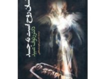انسان روح است نه جسد (دکتر رئوف عبید)
