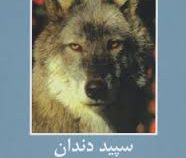 ادبیات داستانی جهان برای نوجوانان: سپید دندان (جک لندن، محمد شاطرلو)