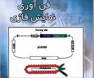 فن آوری نمایش فاژی (روح الله نخعی سیستانی .حسین تیموری)