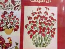 تابلوهایی از دل طبیعت (ساخت تابلو از گل های خشک شده ی طبیعی)، (مهستی جواد زاده)