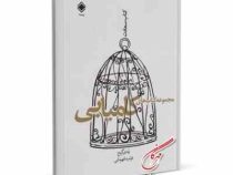 مجموعه کتابهای کامیابی : کتاب سعادت ( رندی گیج . فرشید قهرمانی )