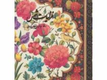 غزلیات شمس 2 زبانه (عباس سلطان آبادی)