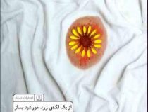 از یک لکه زرد خورشید بساز ( مسعود لعلی )