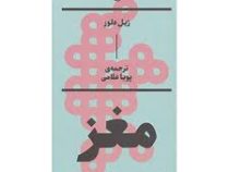 مغز یک صفحه نمایش است (ژیل دلوز . پویا غلامی)