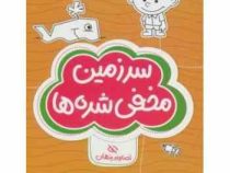 مجموعه کتاب های گردو : سرزمین مخفی شده ها