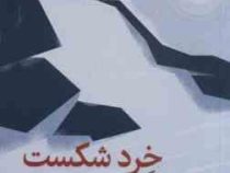 خرد شکست .چه کنیم وقتی اوضاع بر وفق مراد نیست (الیزابت دی . هاجر علی پور )