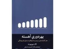 بهره وری آهسته : هنر گمشده ی رسیدن به موفقیت بدون فرسودگی (کال نیوپورت . مائده نصیری شریفی)