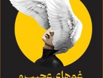 غم های عجیب و زیبای اوالاوندر (لزلی والتن . ثمین صداقت کار)