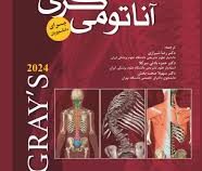 آناتومی گری برای دانشجویان جلد اول 1 : تنه (رضا شیرازی . حمزه بادلی سرکلا . سهیلا صحت بخش)