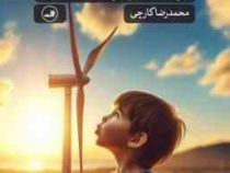 نقش دولت ها در تکوین برنامه های توسعه برنامه اول تا پنجم (محمدرضا کارچی)