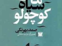 ماهی سیاه کوچولو دو زبانه فارسی به انگلیسی (صمد بهرنگی . فرشید مثقالی)