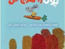 مجموعه ی خرگوش کوچولوها و پول... : پول را خرج کن (سیندرز مک لئود.امیرعلی خلج)