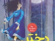 دختر ماه پیشونی (کلی بارن هیل، مطهره انصاری)