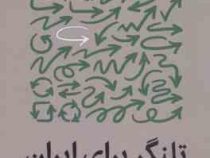 تلنگر برای ایران (مطالعات موردی سیاست گذاری تغییر رفتار در ایران و جهان)(علیرضا نفیسی . محسن اشعاری