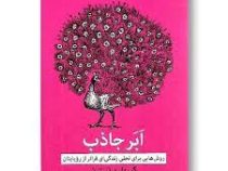 ابر جاذب : روش هایی برای تجلی زندگی ای فراتر از رویایتان (گبریل برنستین . سارا پرویزخانی)