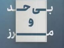 بی حد و مرز : مغزتان را ارتقاء دهید (جیم کوئیک . شهلا ثریا صفت)