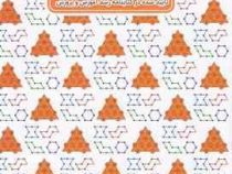چالش هوش سطح آسان (ایمان کامل جهرمی . زهرا کمپانی والا . آرمان نوباوه)