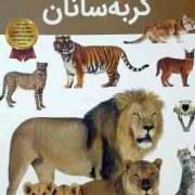 دانستنی های شگفت انگیزی از گربه سانان