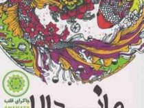 ماندلا :کتاب رنگ آمیزی بزرگسالان جلد 4: مدیتیشن ذهن چاکرای قلب (رویا احسان)