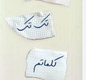 در تک تک کلماتم (تامارا آیرلند استون.عاطفه محمدزاده)