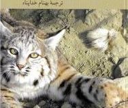 حق حیوان،خطای انسان (تام ریگان.بهنام خداپناه)
