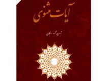 آیات مثنوی ( محمود در گاهی )