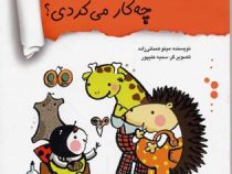 چه می گفتی، چه کار می کردی؟ (مینو همدانی زاده)