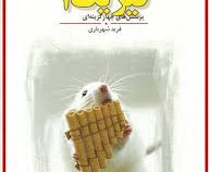 مبتکران فیزیک 2 پیش دانشگاهی 96-95