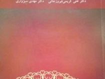 ساخت دستوری زبان فارسی ( علی کریمی فیروزجائی . دکتر مهدی سبزواری )