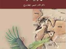 تکامل موجودات زنده (قادر حبیبی چهار برج)