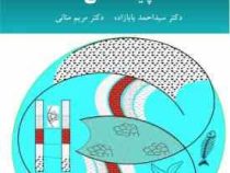 چینه شناسی (سید احمد بابازاده . مریم منانی)