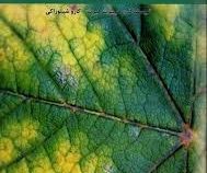 واکنش گیاهان به تنش های محیطی غیر زنده (هریبرت هیرت . کازو شینوزاکی . اسداله احمدی خواه)