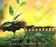 مجموعه کتب کارشناسی ارشد مهندسی کشاورزی : آمار و احتمالات (سید ابراهیم سیفتی)