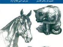اصول طراحی حیوانات:آموزش اصول پایه هنر طراحی (والتر فاستر.امیر فلاح آزاد)