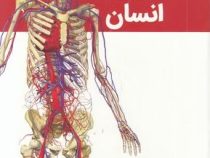 دانشنامه بدن انسان (کری لاو. کارولین استامپ.مریم اصغرپور)