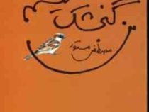 من گنجشک نیستم (مصطفی مستور)