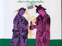 مردان مجنون و زنان لیلی جلد اول (دکتر علی شمیسا)