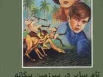 ادبیات داستانی تام سایر در سرزمین بیگانه
