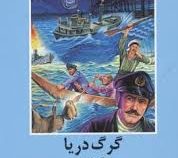 ادبیات داستانی گرگ دریا
