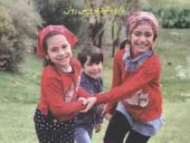 بازی های شاد و تاثیرگذار با رویکرد پرورش روان(بارباراشر.منیره نادری)