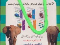 مجموعه کتاب این چیه ؟ اون چیه ؟ کتاب سخت انگلیسی-فارسی زیر 3 سال 6جلدی (شهر قلم) پک سبز