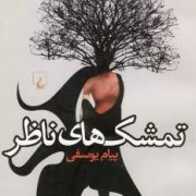 تمشک های ناظر (پیام یوسفی)
