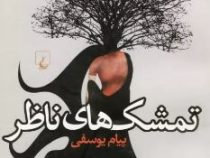 تمشک های ناظر (پیام یوسفی)