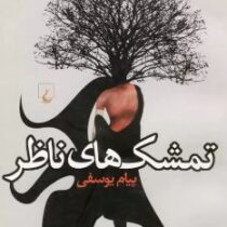 تمشک های ناظر (پیام یوسفی)