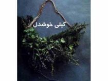 آفرینش حرفه ایده آل (مارشا سینتار . گیتی خوشدل)