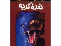 مجموعه ترس و لرز: نعره گربه (آر. ال. استاین، شهره نور صالحی)