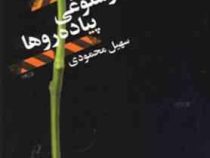 از شلوغی پیاده روها (سهیل محمودی)